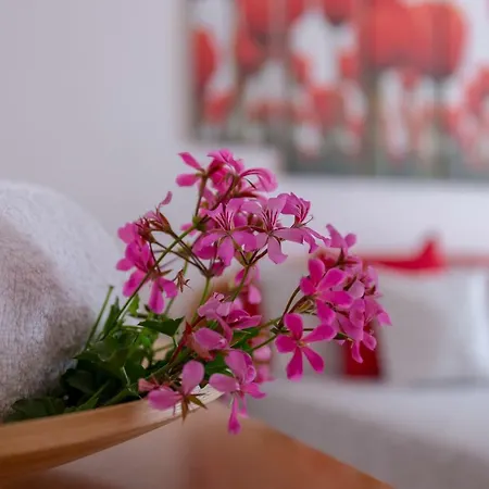 Feriehus Luisa's House *