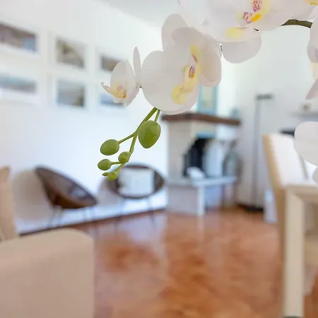 Luisa's House Feriehus *