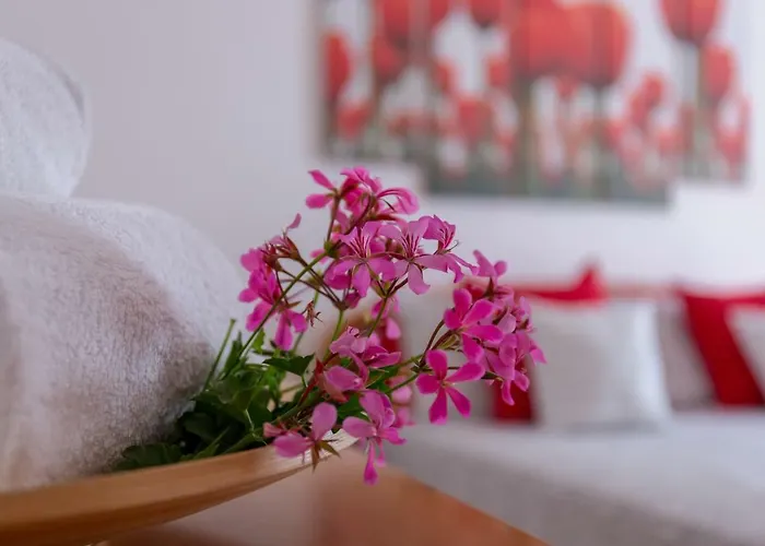 度假居 Luisa's House *