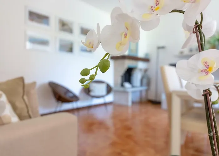 Luisa's House 度假居 *